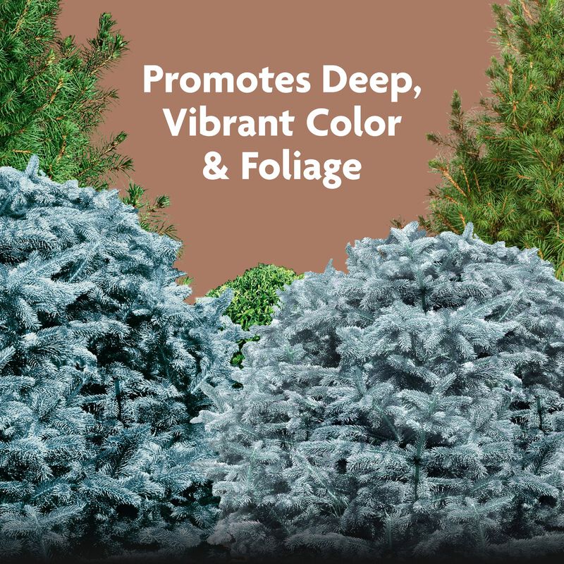 Miracle-Gro® Evergreen Plant Food Spikes image number null