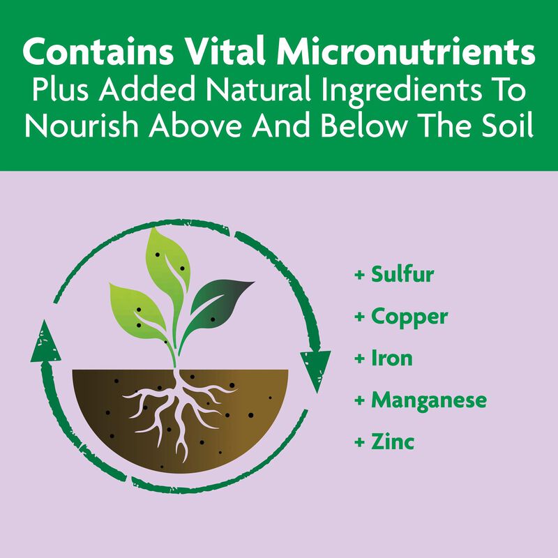 Miracle-Gro® Shake 'n Feed Rose & Bloom Plant Food image number null