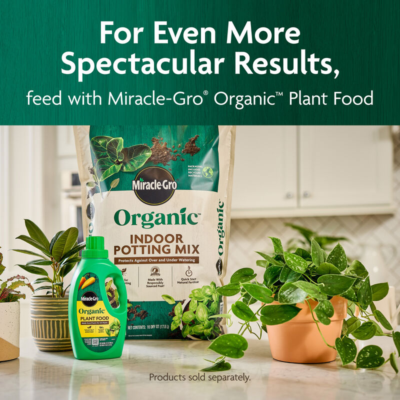 Miracle-Gro Organic™ Indoor Potting Mix image number null