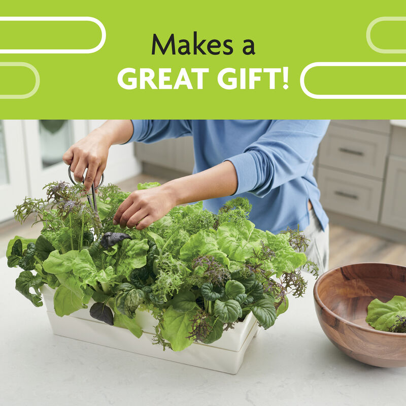Miracle-Gro® Garden to Go™ image number null